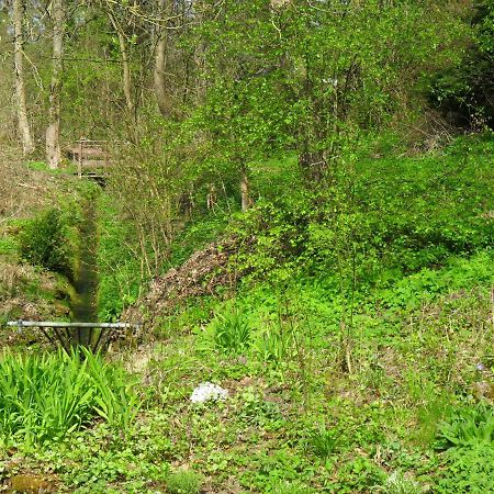 Hoellenmuehle Bed & Breakfast At The Mill Pond Hessisch Oldendorf Esterno foto
