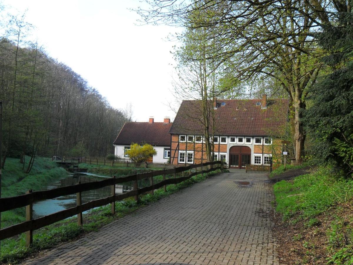 Hoellenmuehle Bed & Breakfast At The Mill Pond Hessisch Oldendorf Esterno foto