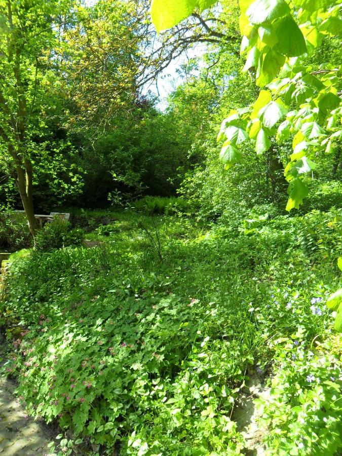 Hoellenmuehle Bed & Breakfast At The Mill Pond Hessisch Oldendorf Esterno foto