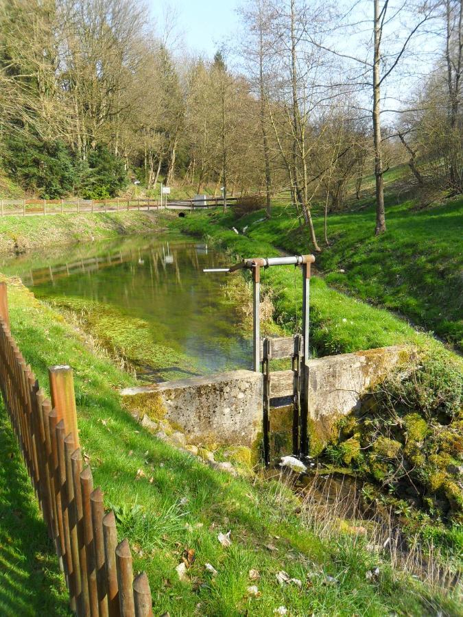 Hoellenmuehle Bed & Breakfast At The Mill Pond Hessisch Oldendorf Esterno foto