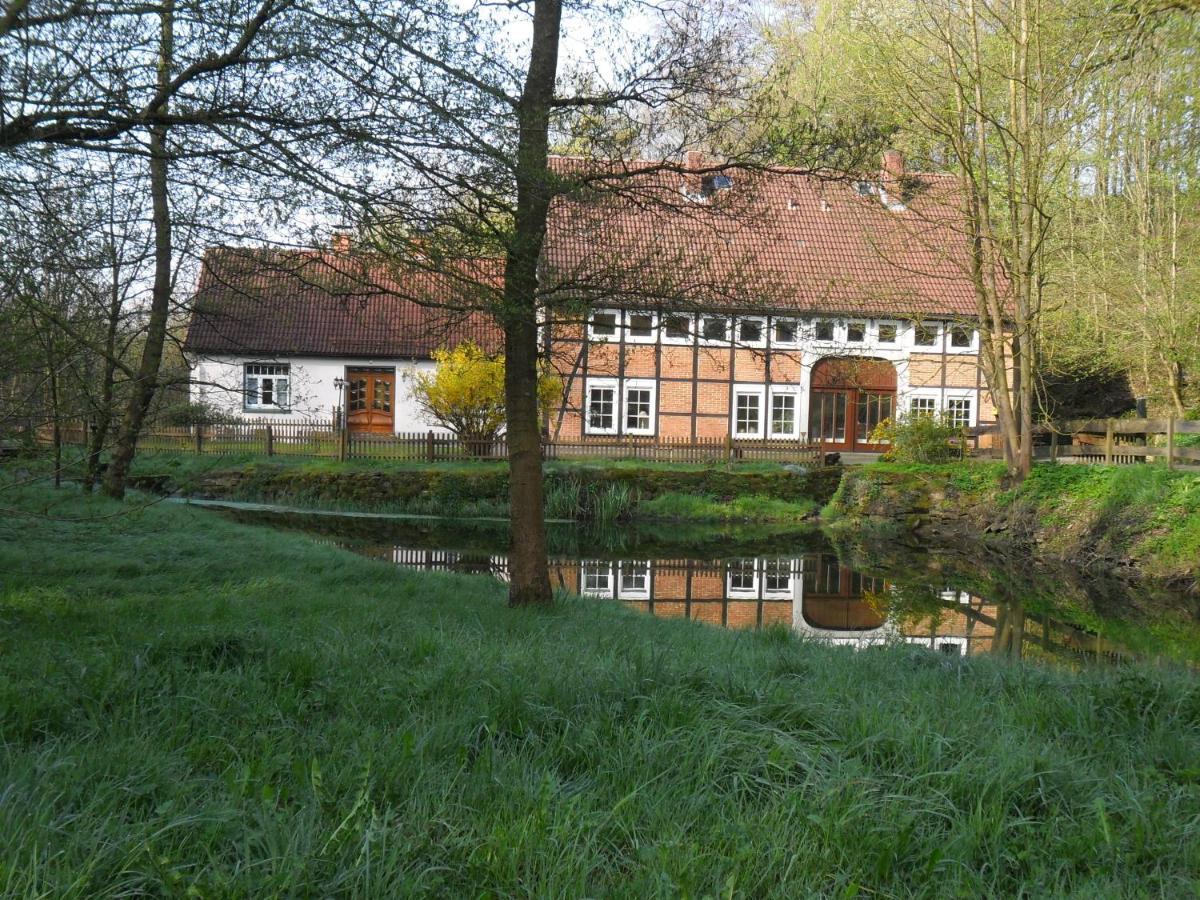 Hoellenmuehle Bed & Breakfast At The Mill Pond Hessisch Oldendorf Esterno foto