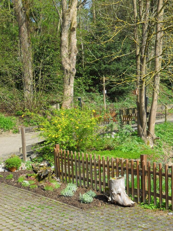 Hoellenmuehle Bed & Breakfast At The Mill Pond Hessisch Oldendorf Esterno foto