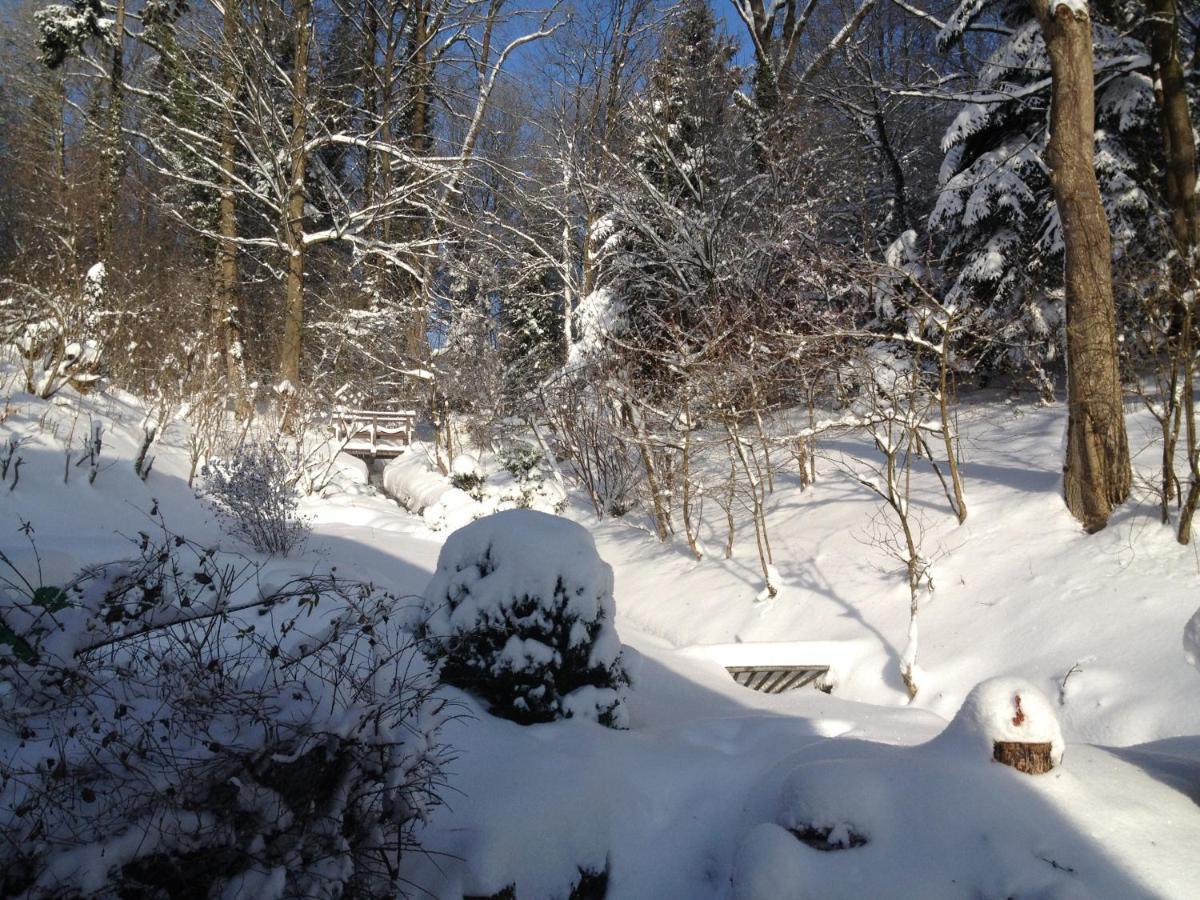 Hoellenmuehle Bed & Breakfast At The Mill Pond Hessisch Oldendorf Esterno foto